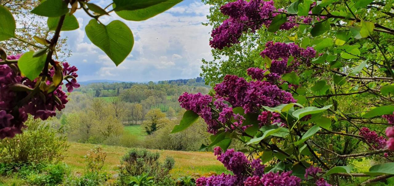 La Belle Ame Bed & Breakfast Saint-Priest-des-Champs Exterior foto